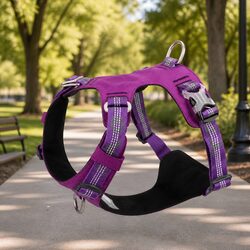 No Pull Dog Harness Lightweight Reflective Purple Medium Size Pet Harness
