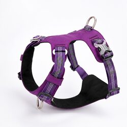 XL No Pull Dog Harness: Lightweight and Reliable