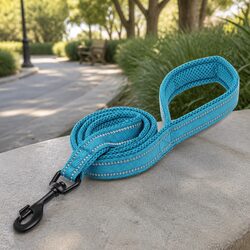 Compact Reflective Dog Leash 2m XS Blue for Night Use