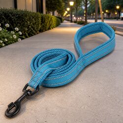 Reflective Nylon Dog Leash 2m with Swivel Hook Ergonomic Grip Pet Lead