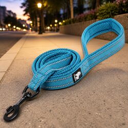 Blue Reflective Dog Leash 2m Made for Night Safety