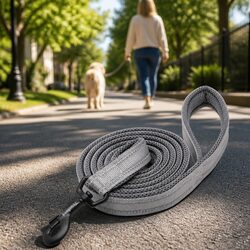 Reflective Dog Leash 2m Lead Pet Walking Nylon XS Grey with Swivel Hook