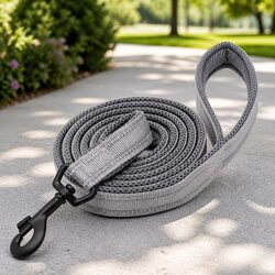 Compact Reflective Nylon Dog Leash with Swivel Hook