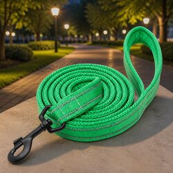 Confidently Walk Your Large Dog with This Reflective Leash