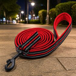 Reflective Dog Leash 2m Nylon Lead Pet Walking XS Red Lightweight Durable