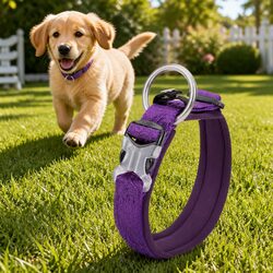 Concise Purple Dog Collar M with Reflective Design