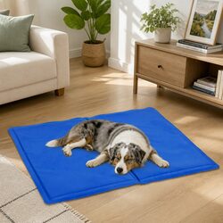 Pet Cooling Cushion Dog Cat Summer Ice Pad Large Comfortable Resting Mat Bed