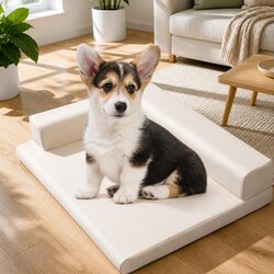 Concise Comfort: The ErgoProtect Dog Bed