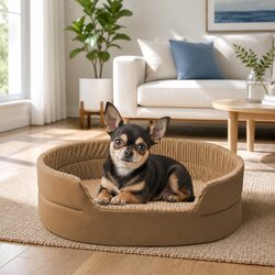Concise Overview: Large Khaki Pet Nest with 3D Design