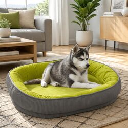 Concise and Reliable Dog Bed for Your Pet