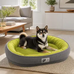 Concise Features of Our Durable Oval Pet Bed for Pets