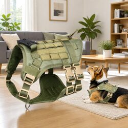 Puppy Harness Set - Comfortably Secure Leash and Vest Green