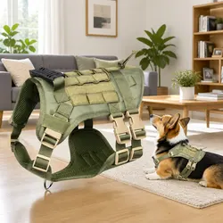Puppy Harness Set - Comfortably Secure Leash and Vest Green
