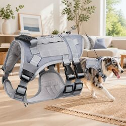 Lightweight Mesh Dog Harness for Easy Handling