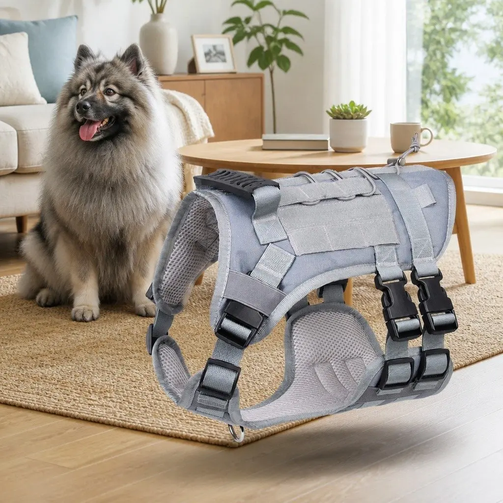Dog Harness Breathable Mesh Vest Leash Pet Chest Rope Walking Training Gear
