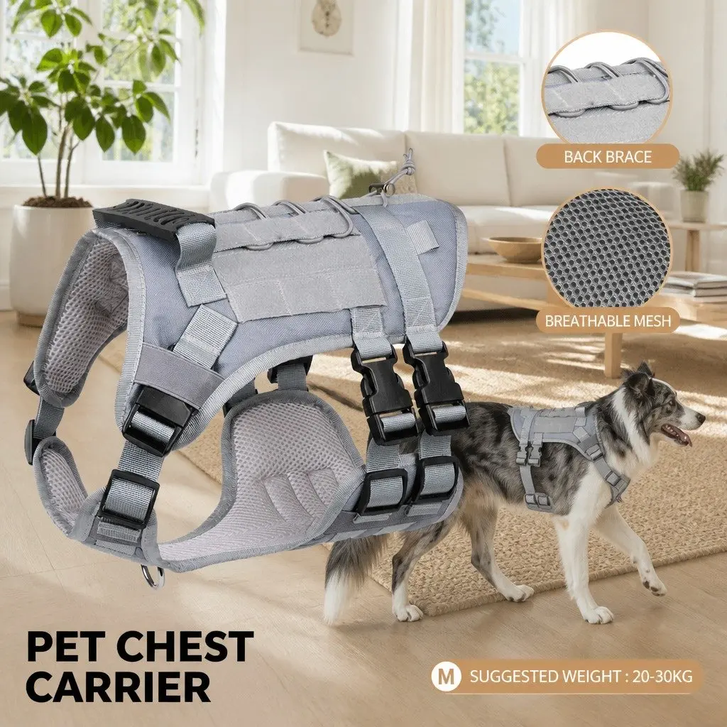 Adjustable Dog Harness Vest for Comfort and Control
