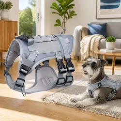 Stylish Mesh Vest Harness for Your Small Pet