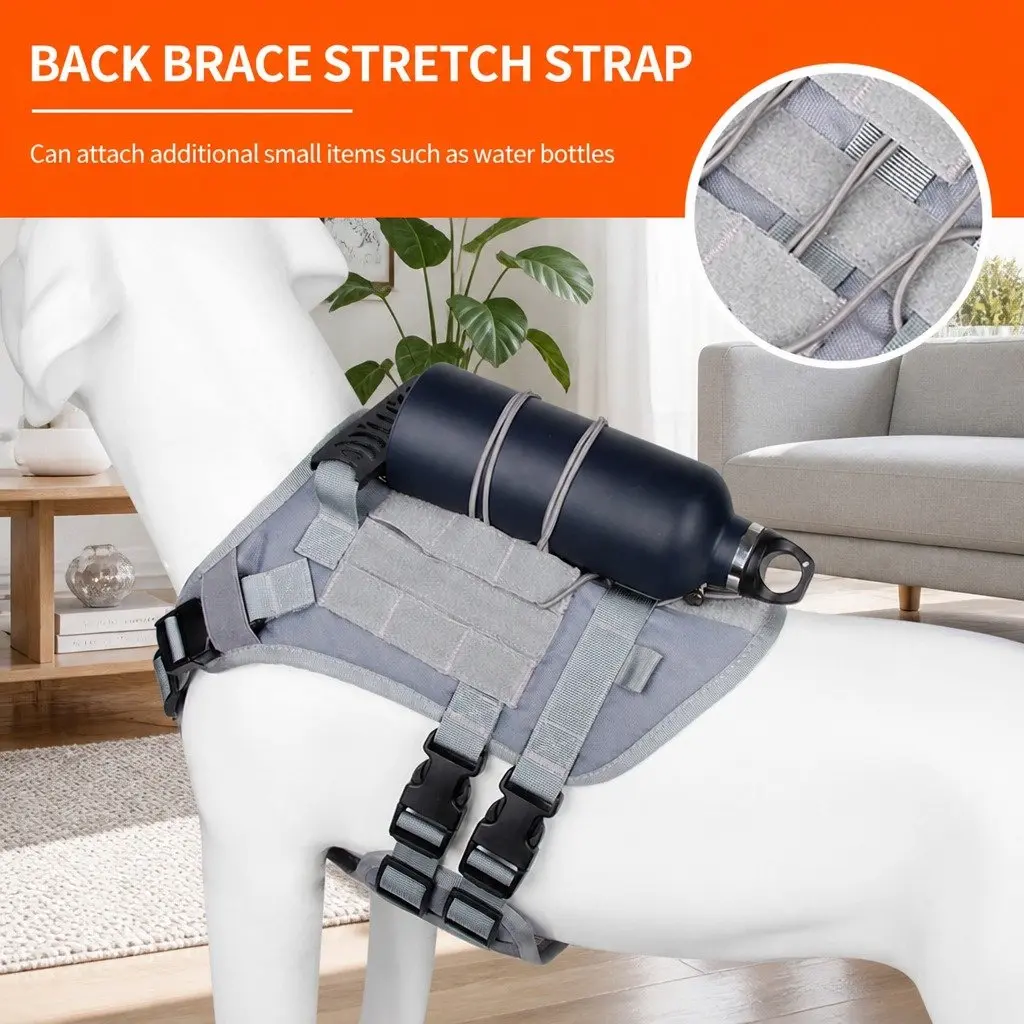 Small Dog Cat Harness Grey S Breathable Mesh Durable Construction