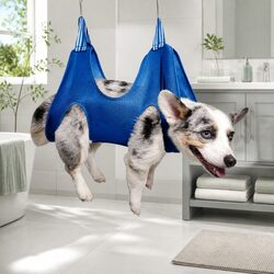 Pet Grooming Hammock: Easy and Effective Solutions