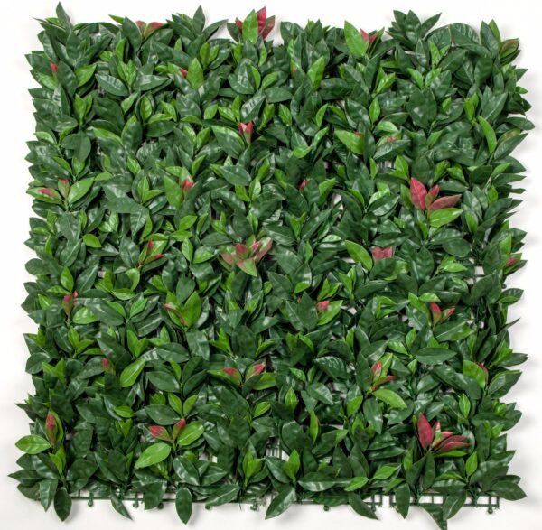 Fanno-Artificial Photinia Hedge Panels for Instant Greenery Indoor Outdoor Decor 1m x 1m