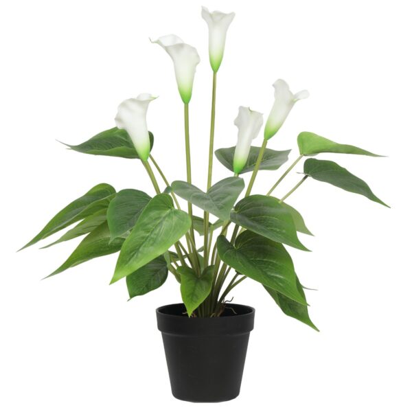 Fanno-Artificial Peace Lily Calla Lily Plant 50cm Real Touch Indoor Decorative Plant