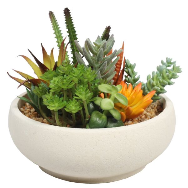 Fanno-Potted Artificial Succulent Bowl with Natural Stone Pot 21cm Indoor Decor