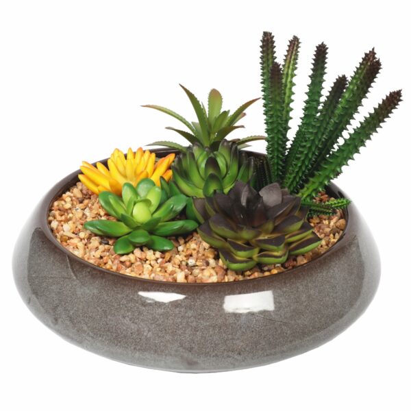 Fanno-Potted Artificial Succulents in Round Decorative Bowl for Indoor Decor 19cm