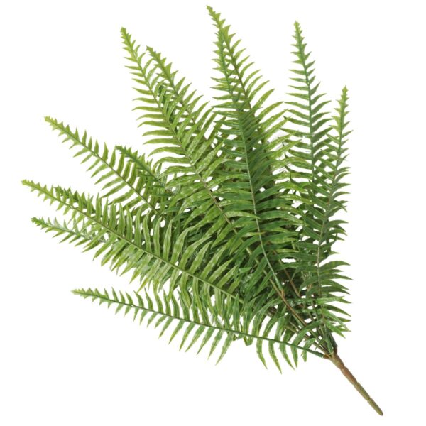 Fanno-Artificial Lady Fern Stem 50cm UV Resistant Indoor Outdoor Decorative Plant