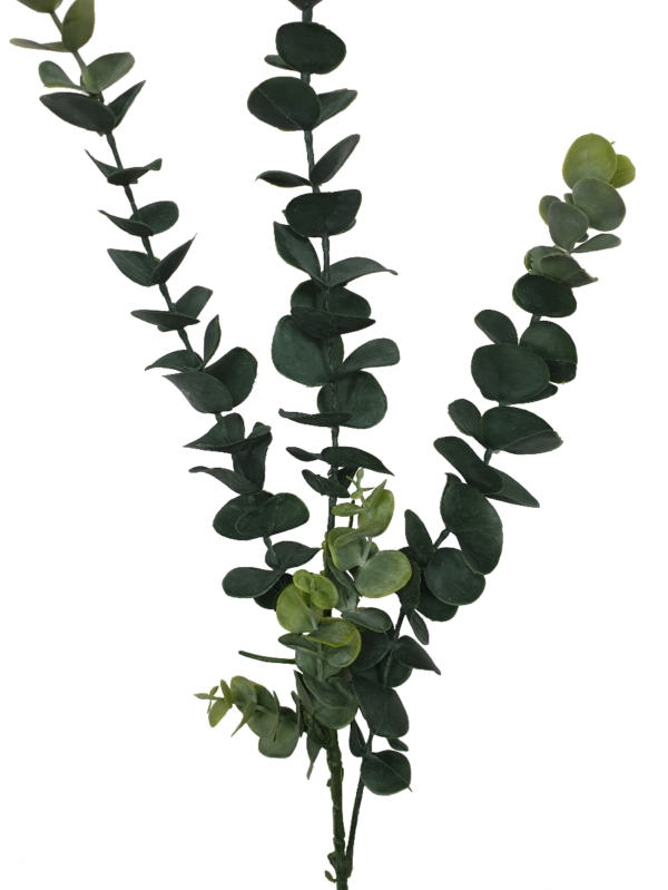 Fanno-Long Eucalyptus Stems 77 cm Natural-Looking Greenery for Home Decor and Arrangements