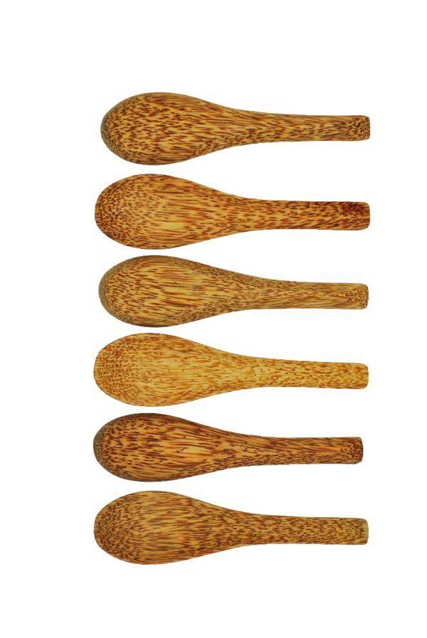 Fanno-Coconut Wooden Soup Spoon Set of 6 Natural Ergonomic Dining Utensils