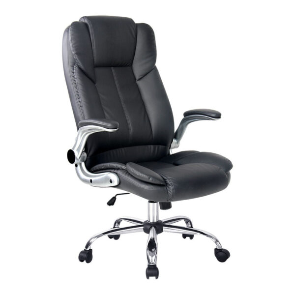 Fanno-Executive Office Chair with Lumbar Support and Adjustable Features in Black