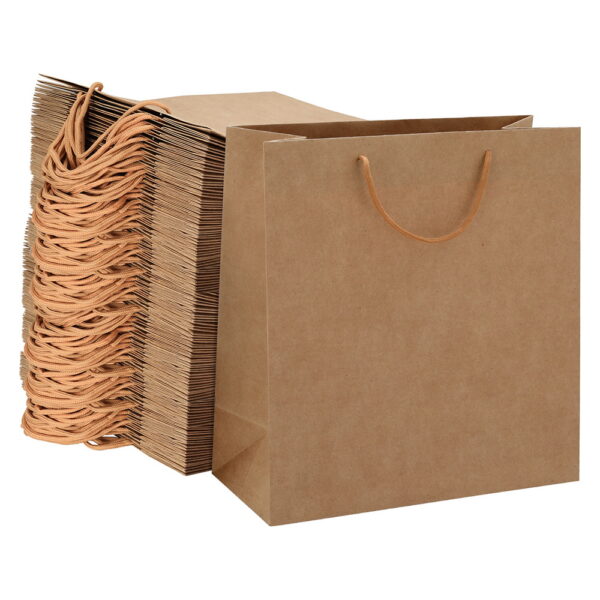 Fanno-Bulk Kraft Paper Bags 100pcs Durable Reusable Gift Bags for Craft and Packaging