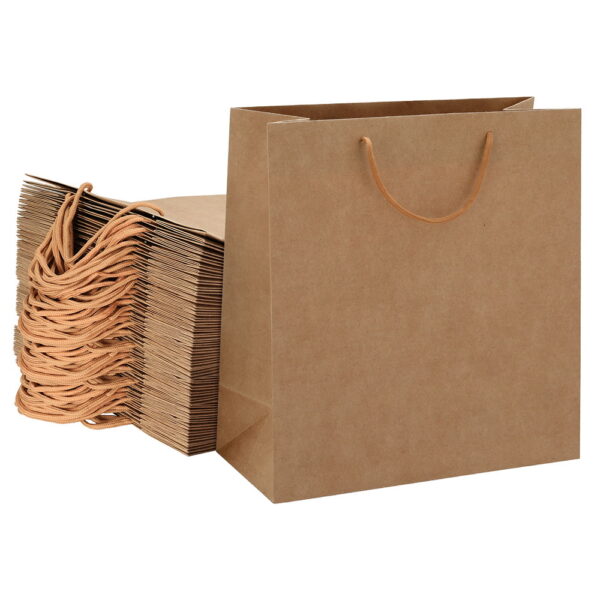 Fanno-Bulk Kraft Paper Bags 50pcs Durable Reusable Gift Bags for Craft and Packaging