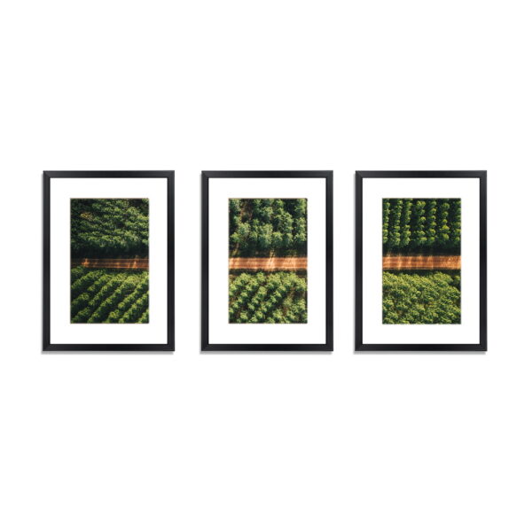 Fanno-3 Piece Photo Frame Set A3 Wall Decor for Home Art Display Black Frames