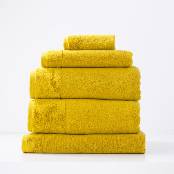 Fanno-Aireys 650 GSM Zero Twist 5 Piece Bath Towel by Renee Taylor