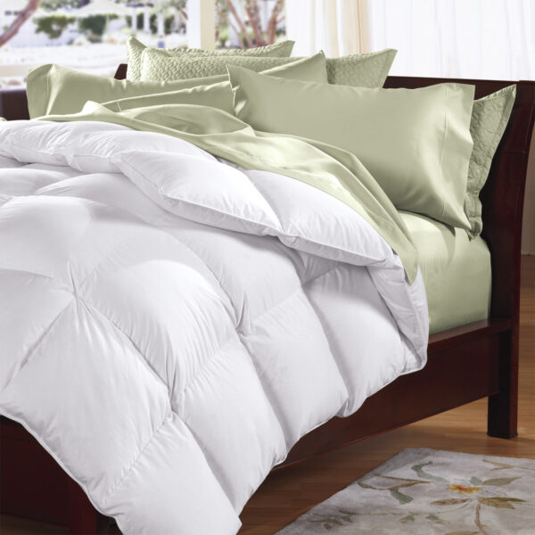 Fanno-550 GSM Bed Australian Pure Merino Wool Quilt by Renee Taylor Single