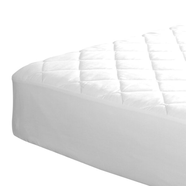 Fanno-Ultimate All Cotton Mattress Protector by Renee Taylor Double