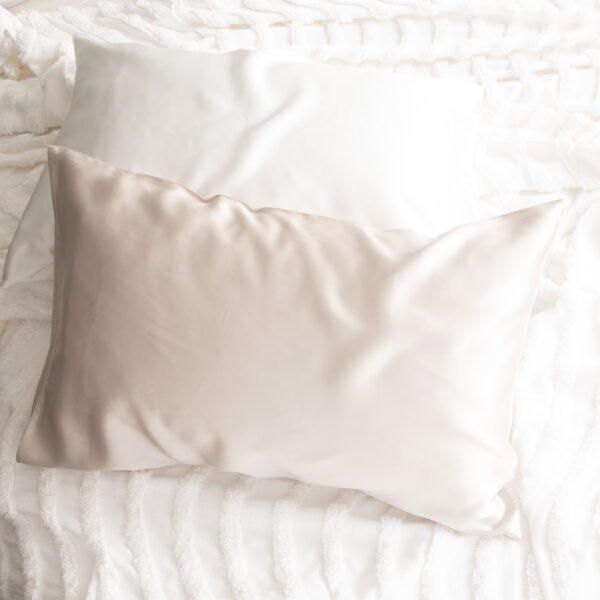 Fanno-100% Mulberry Silk Standard Pillowcase by Renee Taylor