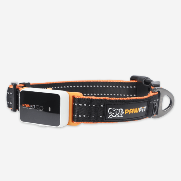 Fanno-Pawfit 3 Collar Small