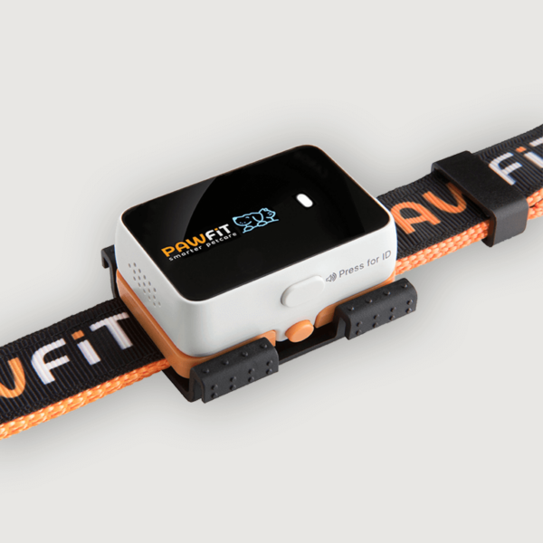 Fanno-Pawfit 3 Tracker