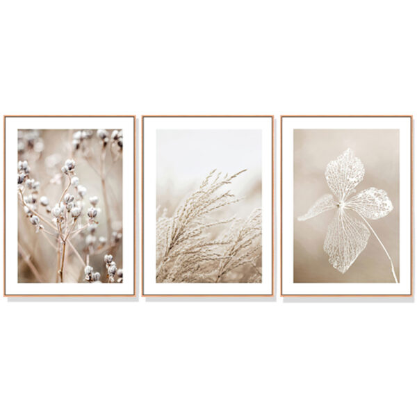 Fanno-Canvas Wall Art Dried Flower Set of 3 Framed Prints for Home Decor 40x60cm