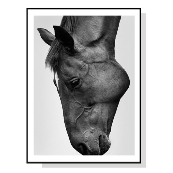 Fanno-Canvas Print Modern Black Horse Framed Wall Art 50x70cm Home Decor Australia