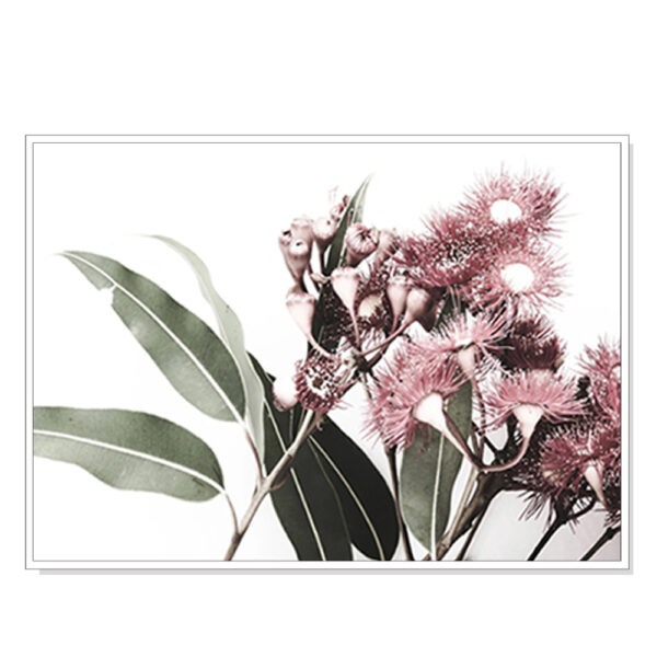 Fanno-Canvas Wall Art Eucalyptus in Bloom Framed Print 60x90cm Home Decor Australia