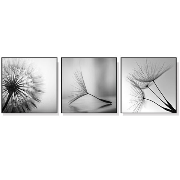 Fanno-Canvas Wall Art Set Botanical Dandelions 50x50cm Framed Prints for Home Decor