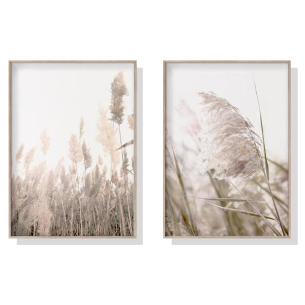 Fanno-Canvas Wall Art Pampas Grass Set of 2 Framed Prints for Home Decor 40x60cm