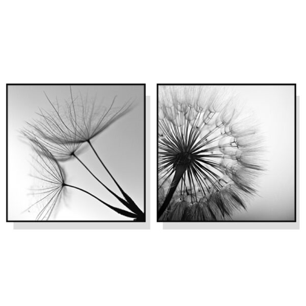 Fanno-Canvas Wall Art Black and White Dandelion Set of Two Framed Prints 40x40cm