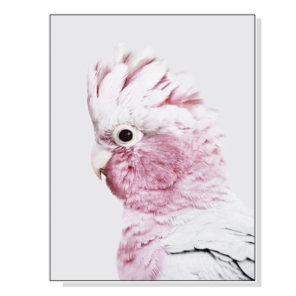 Fanno-Canvas Wall Art 40x60cm Pink Galah Framed Print for Home Decor Australia