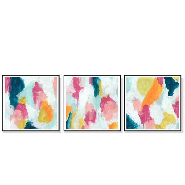 Fanno-Canvas Wall Art Set 60x60cm Colorful Prints with Black Floating Frame