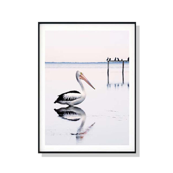 Fanno-Canvas Wall Art 50x70cm Pelican Black Frame Premium Print for Home Decor