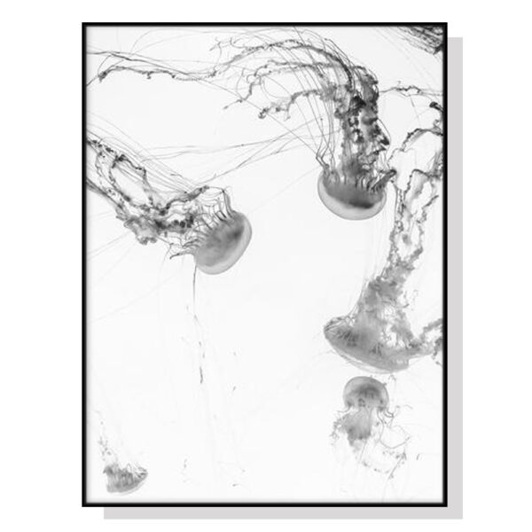 Fanno-Canvas Wall Art Jellyfish Black Frame Premium Print Home Decor 60x90cm Australia